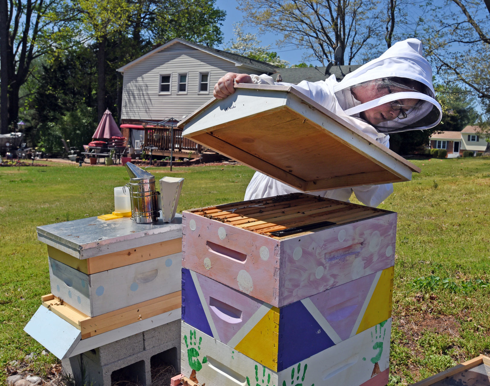 Desirae Balsamo bees